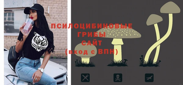 ECSTASY Алексеевка
