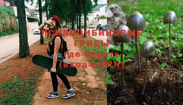 бошки Алзамай