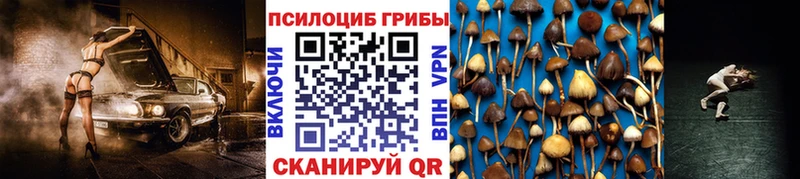 Галлюциногенные грибы мицелий  Тольятти 